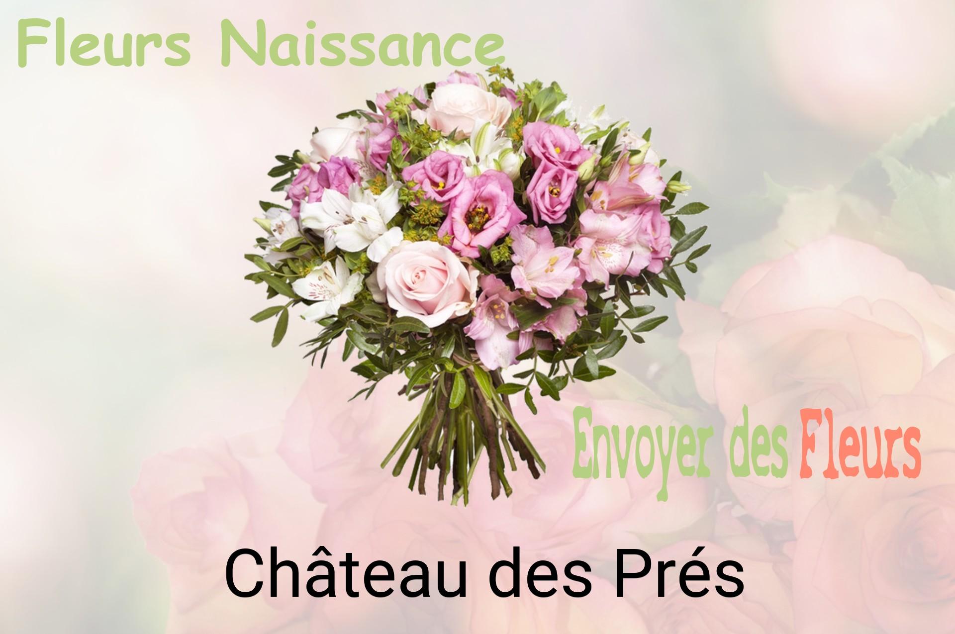 Bouquet de fleurs de naissance livré à Château-des-Prés