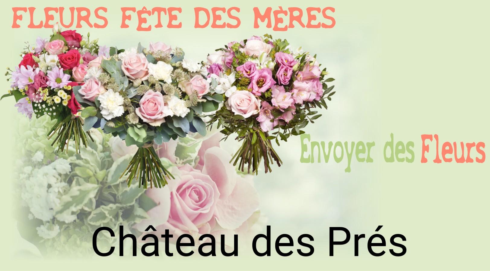 Bouquet de Fête des Mères livré à Château-des-Prés