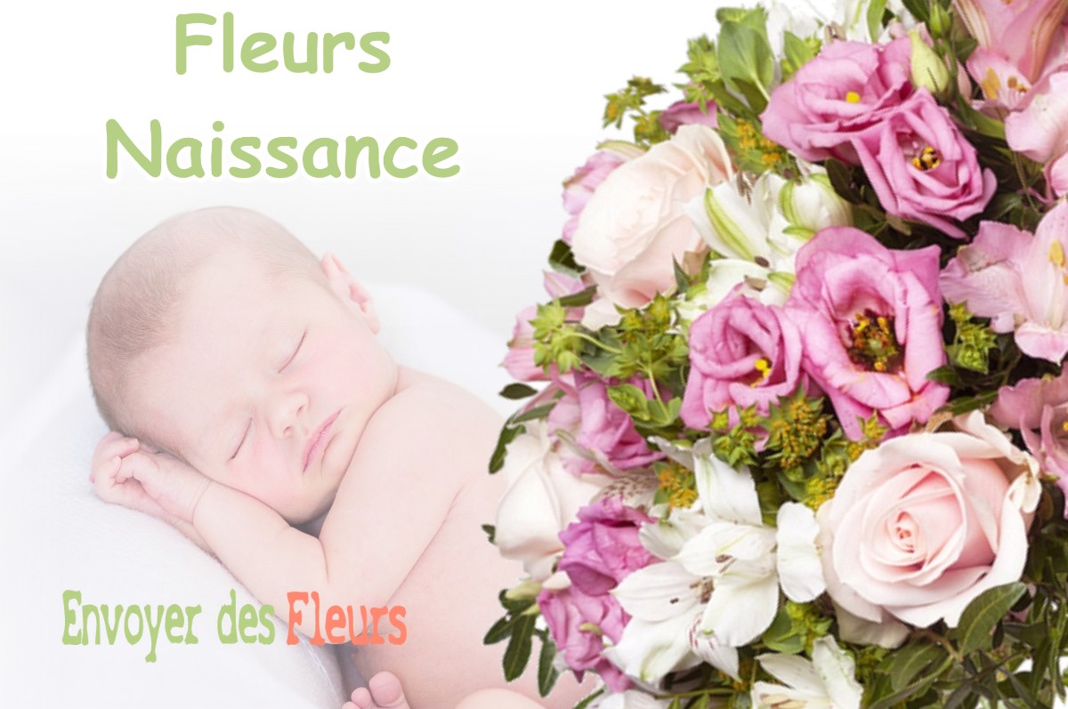 lIVRAISON FLEURS NAISSANCE à CHATEAU-DES-PRES